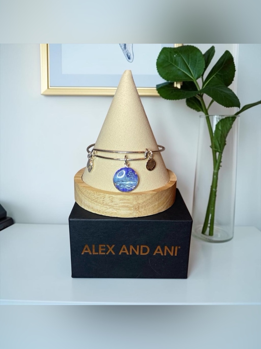 💙ALEX AND ANI💙”Seas Victory”Limited Edition Bangle in Shiny Silver/EUC